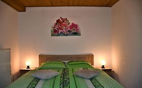 Apartments Lenc